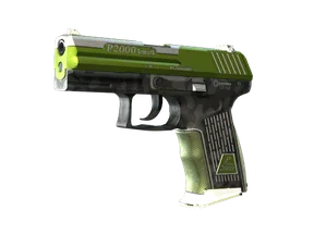 P2000 - Дерн