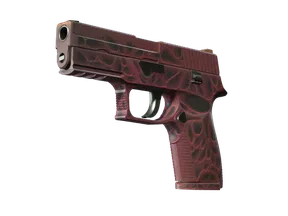 P250 - Загрязнитель